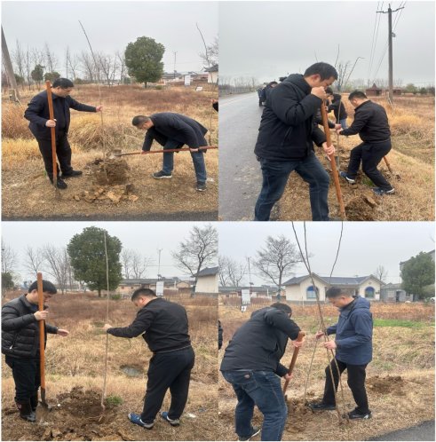 D:\我的文档\Tencent Files\294861271\nt_qq\nt_data\Pic\2025-03\Ori\255a5d258fccc3f09f9b2ae6cfc624c9.jpeg